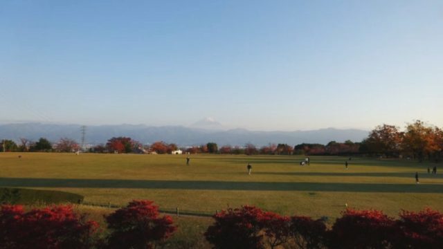 広場と紅葉と秋の富士山