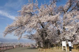 甲州蚕影桜と街並み
