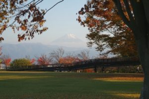 ドラゴンパークの紅葉と富士山