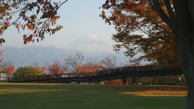 ドラゴンパークの紅葉と富士山