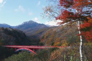 紅葉と赤い橋